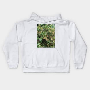 Hummingbird Hawk Moth on Milkweed Kids Hoodie